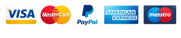 logo-payment